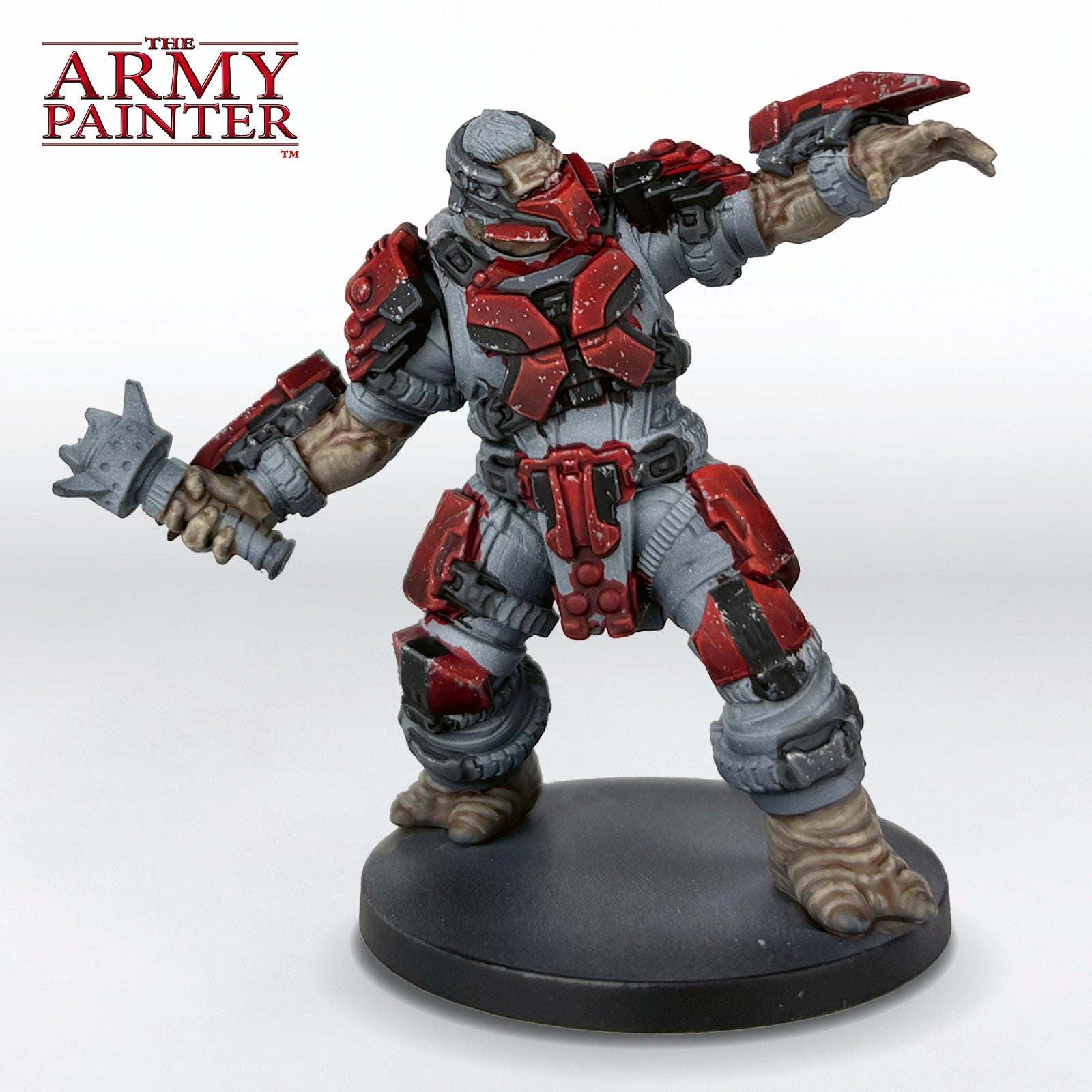 The Skin and Hair Step 4