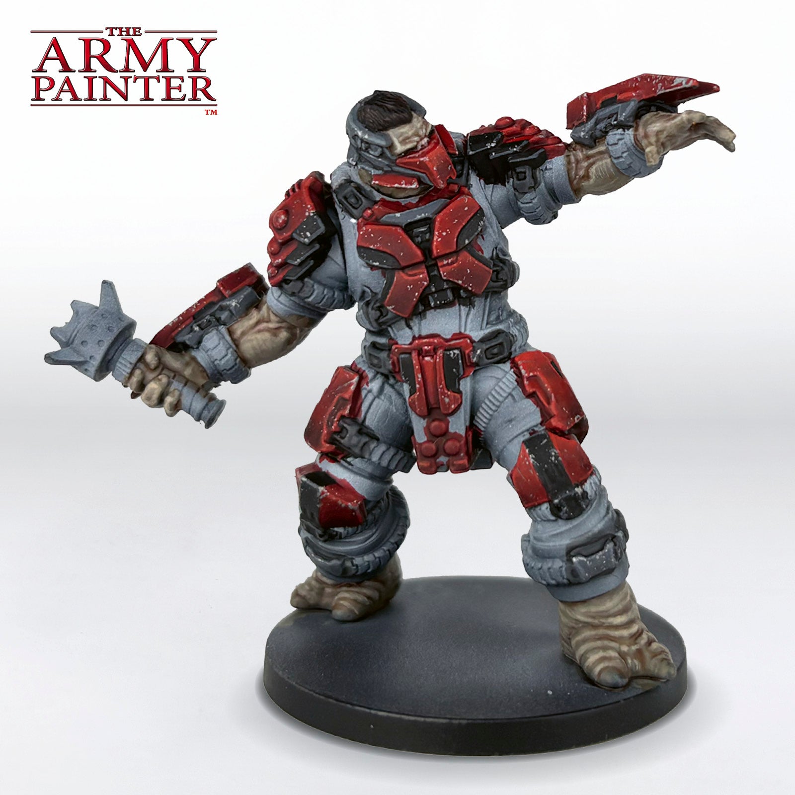 The Skin and Hair Step 5