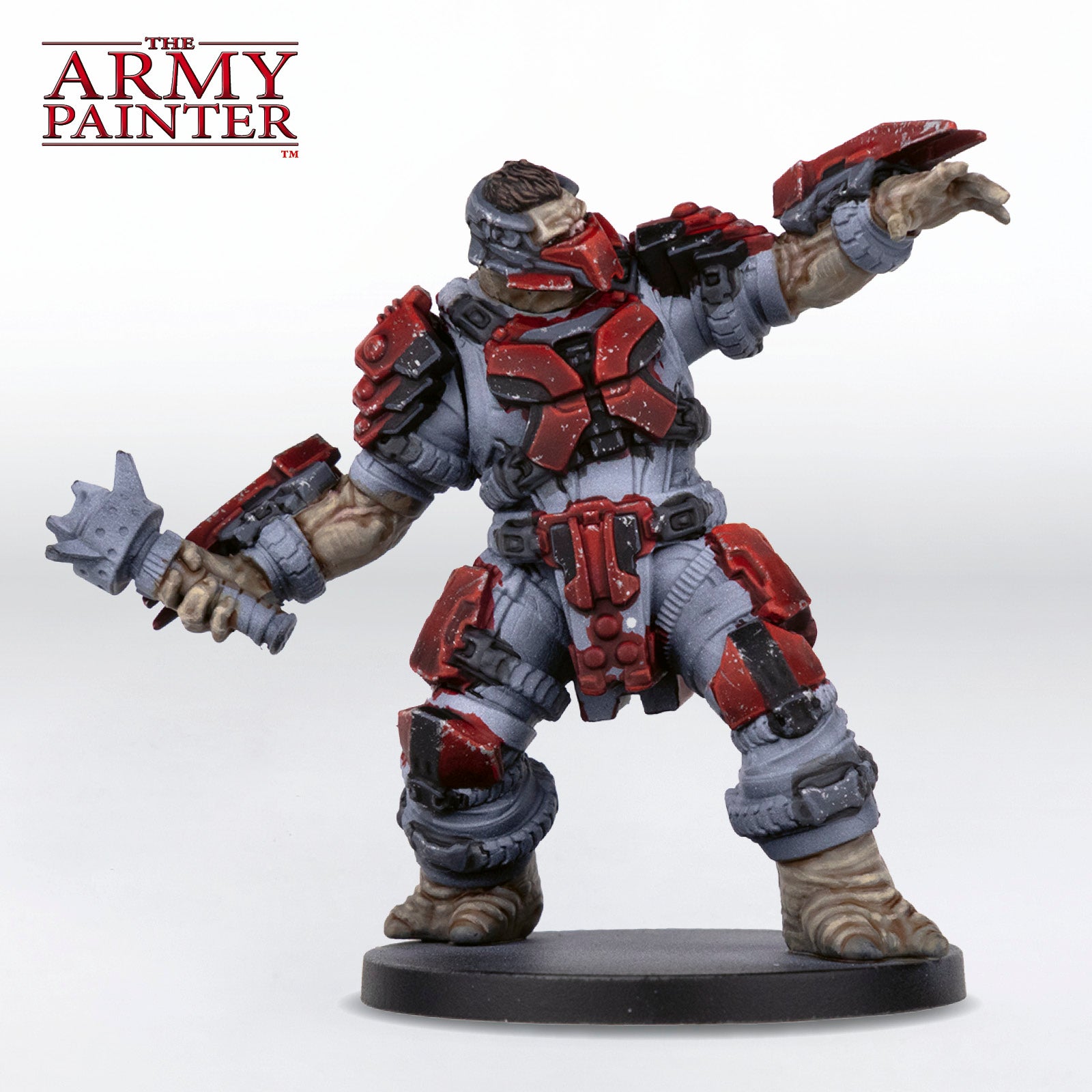 The Skin and Hair Step 6