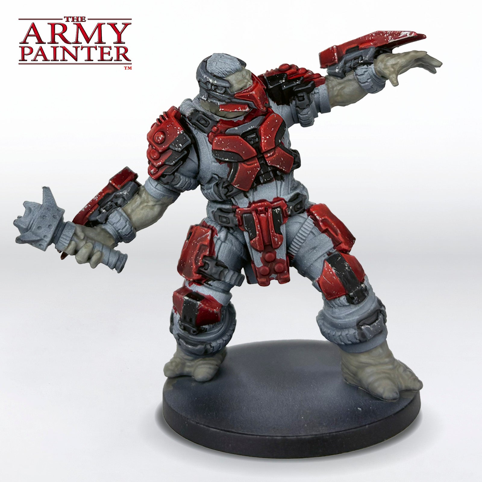 The Skin and Hair Step 1